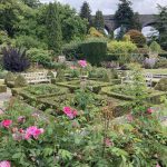 view of Kilver Court garden showing the box hedging and parterre filled with pink roses and the Charlton Railway viaduct behind